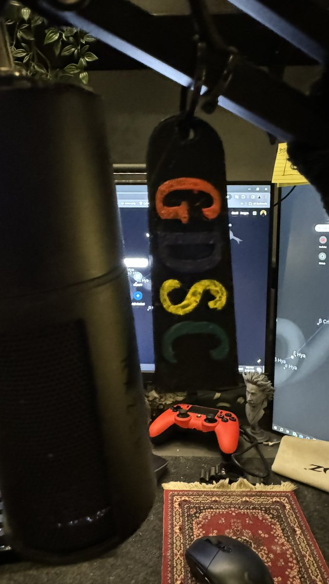 Painted 3D printed GDSC medal